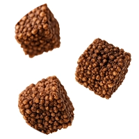 Cuadritos de Amaranto de chocolate